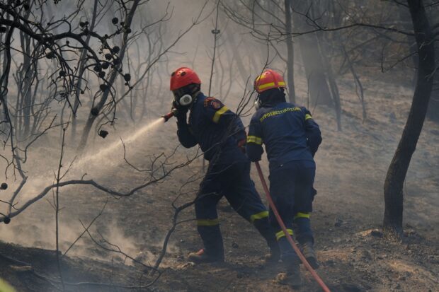 Sæson for skovbrand: Sådan slukker vi flammerne i dag og om 10 år